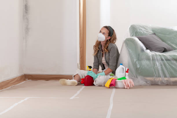 Reliable Black Mold Removal contractor in Weston, MA by WQB Mold Removal